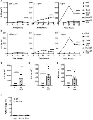 Binding of Staphylococcal Enterotoxin B (SEB) to B7 Receptors Triggers TCR- and CD28-Mediated Inflammatory Signals in the Absence of MHC Class II Molecules